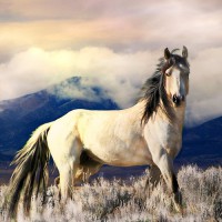 /album/fenykepgaleria/large-17-jpg/